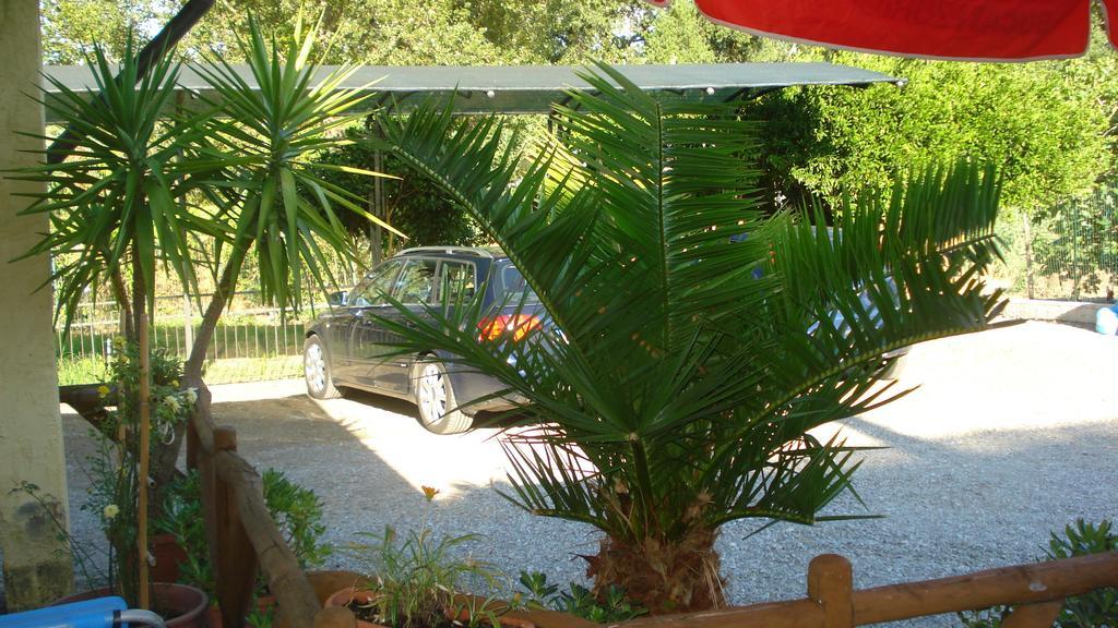 Casa Vacanze Rosy "Nel Verde" Palinuro Exteriér fotografie